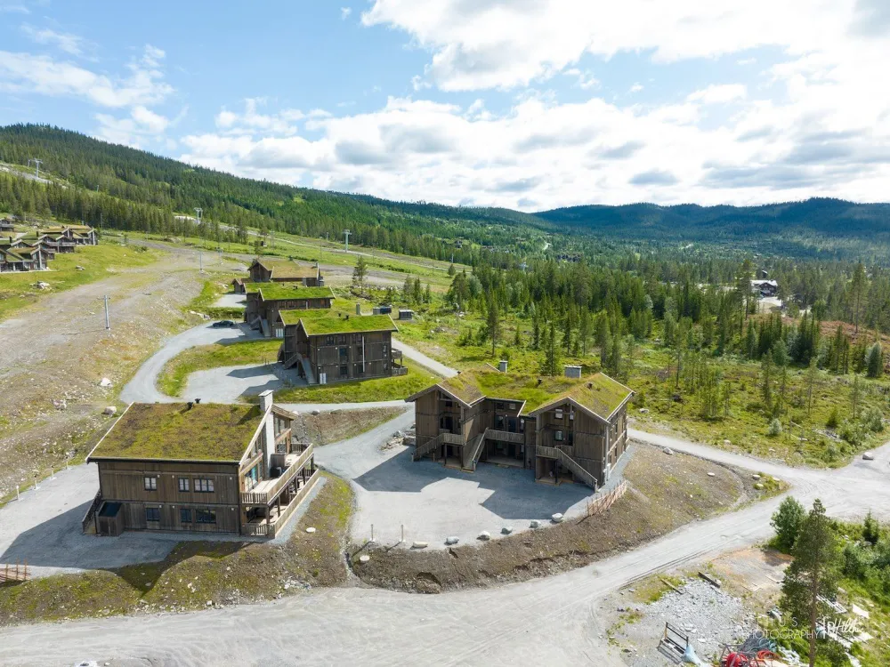 Årbu