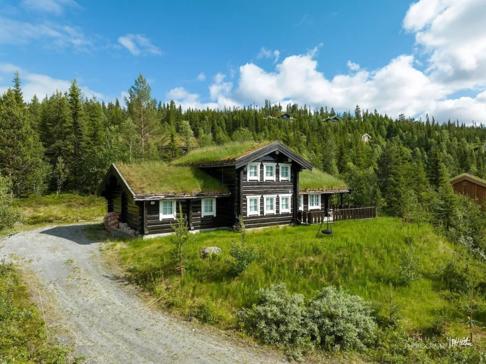 Klevstua