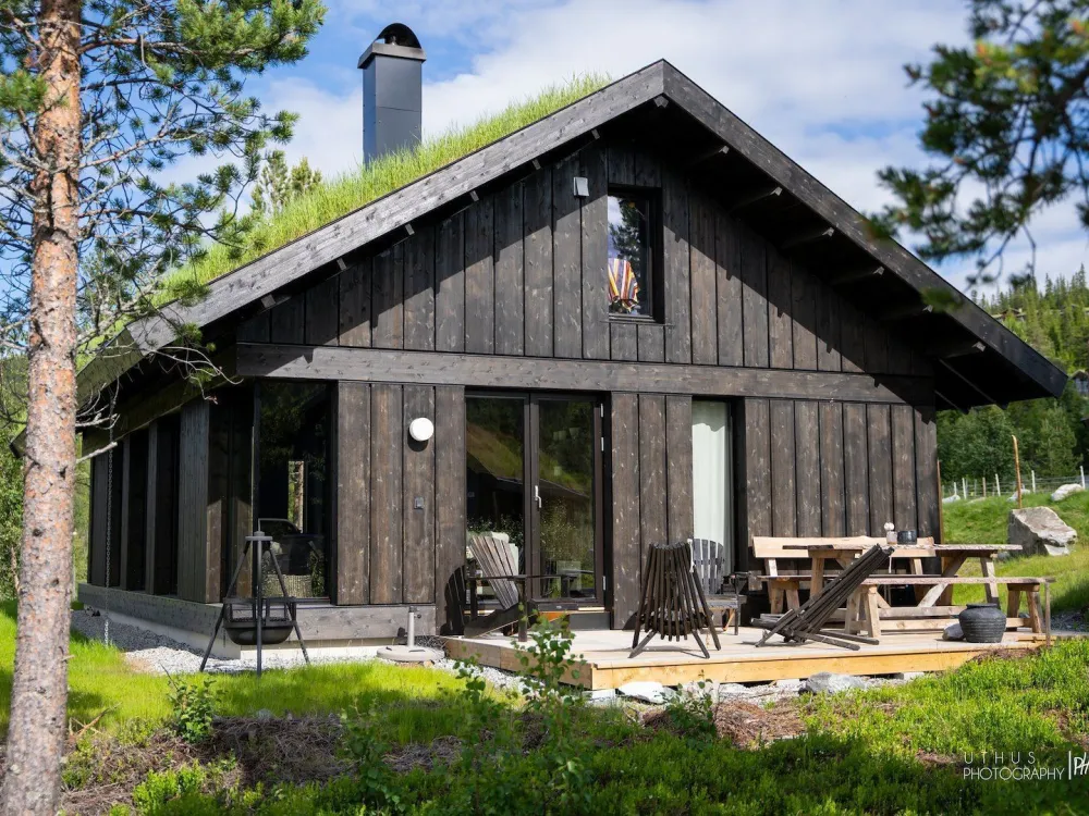 Skitunet