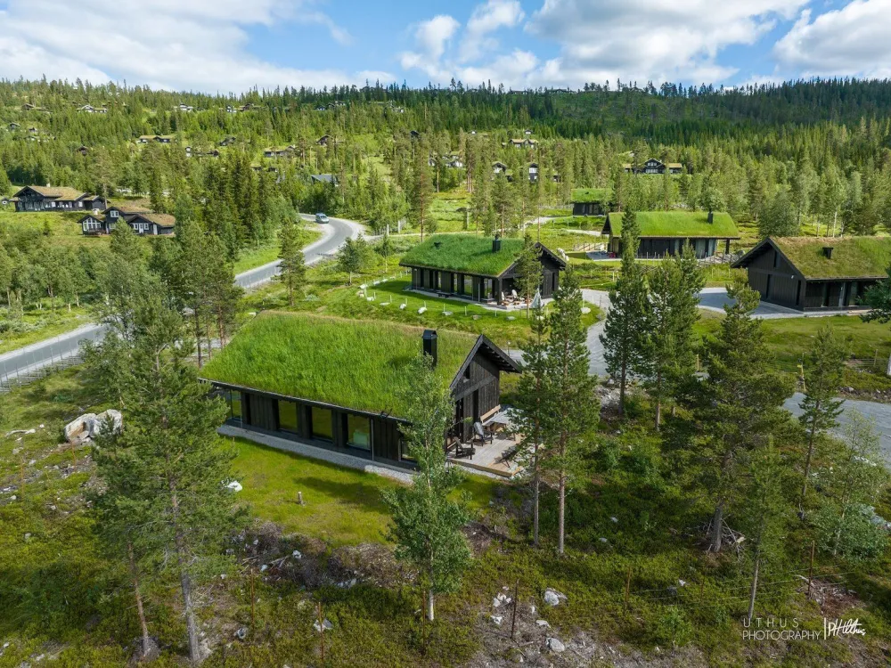 Skitunet