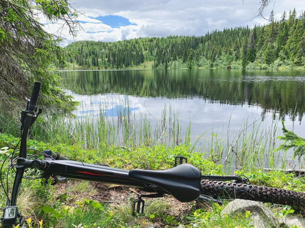 Skitunet