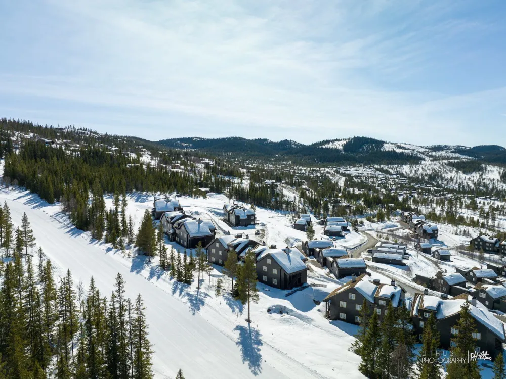 Fjellbu