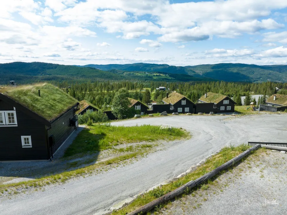 Fjellbu
