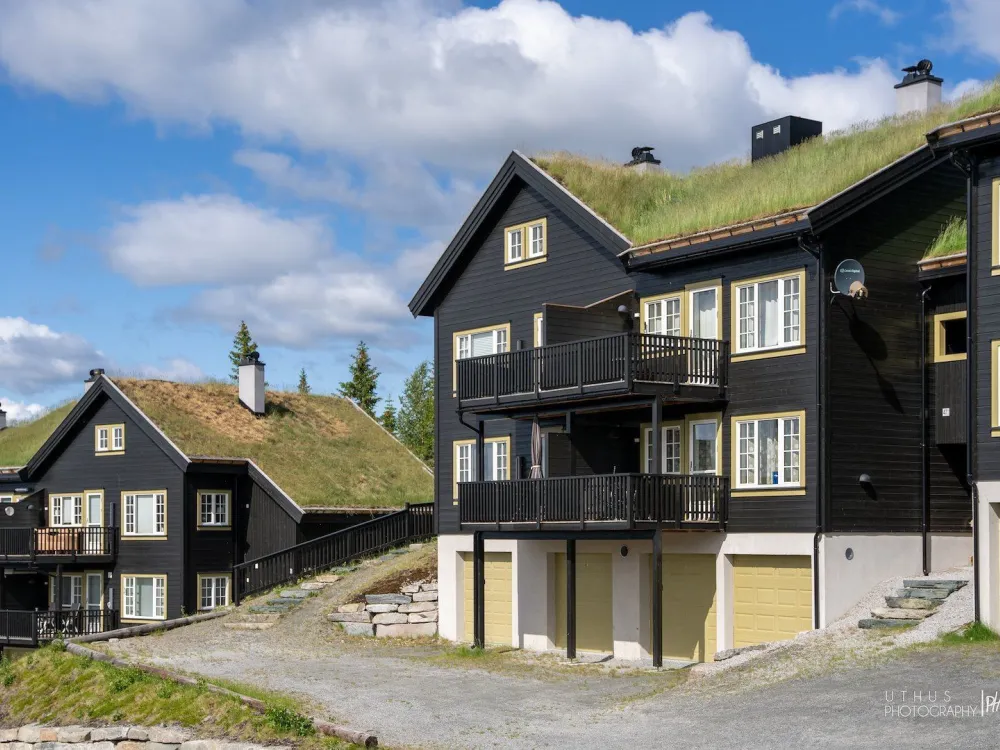 Fjellbu