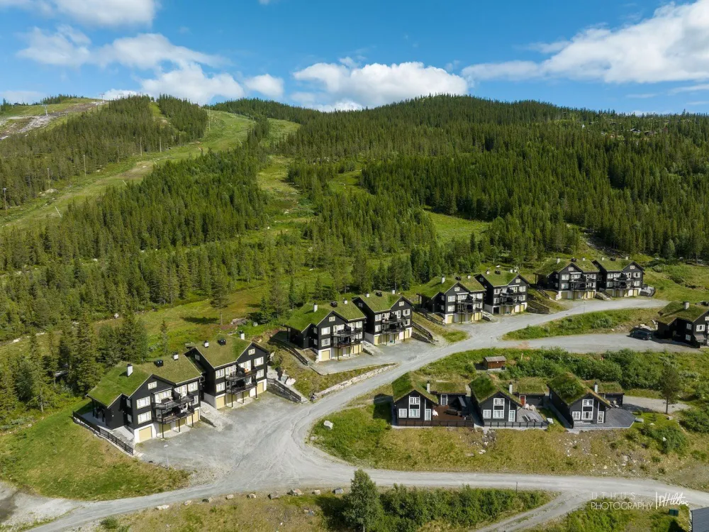 Fjellbu