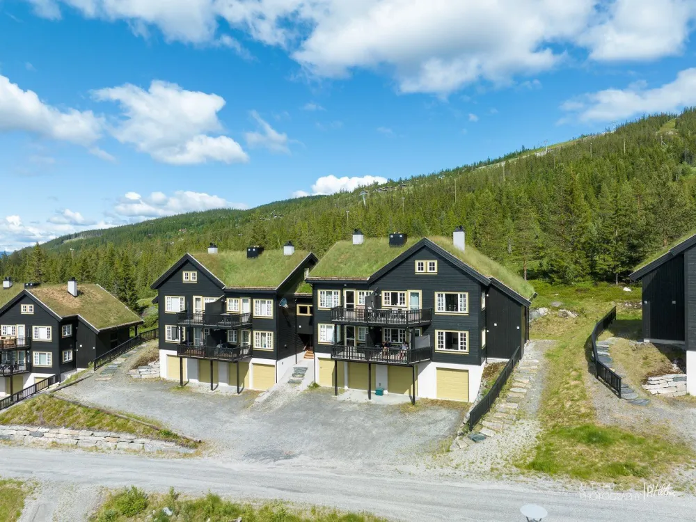 Fjellbu