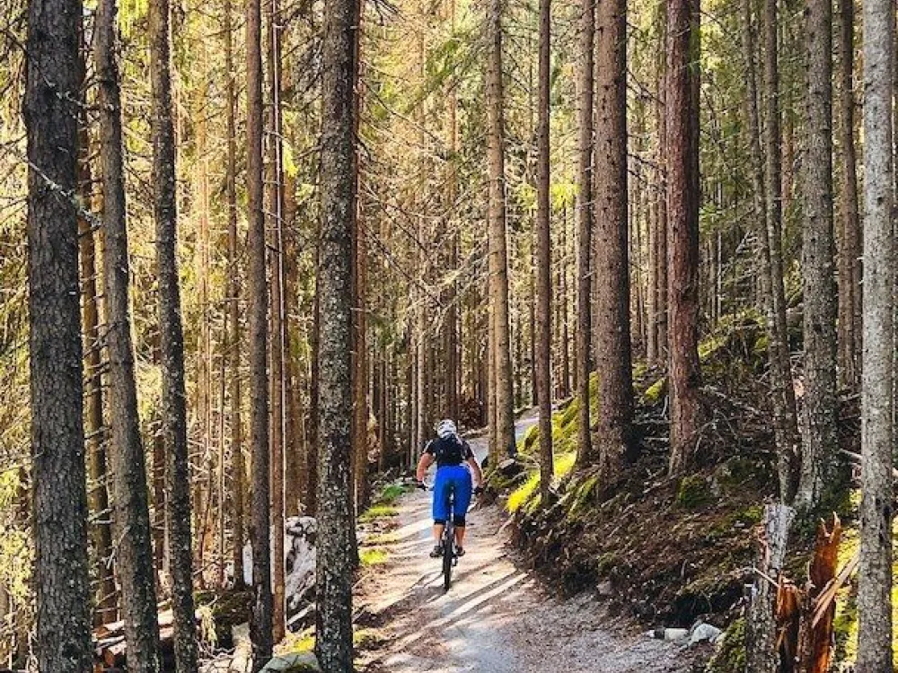 Fjellsol