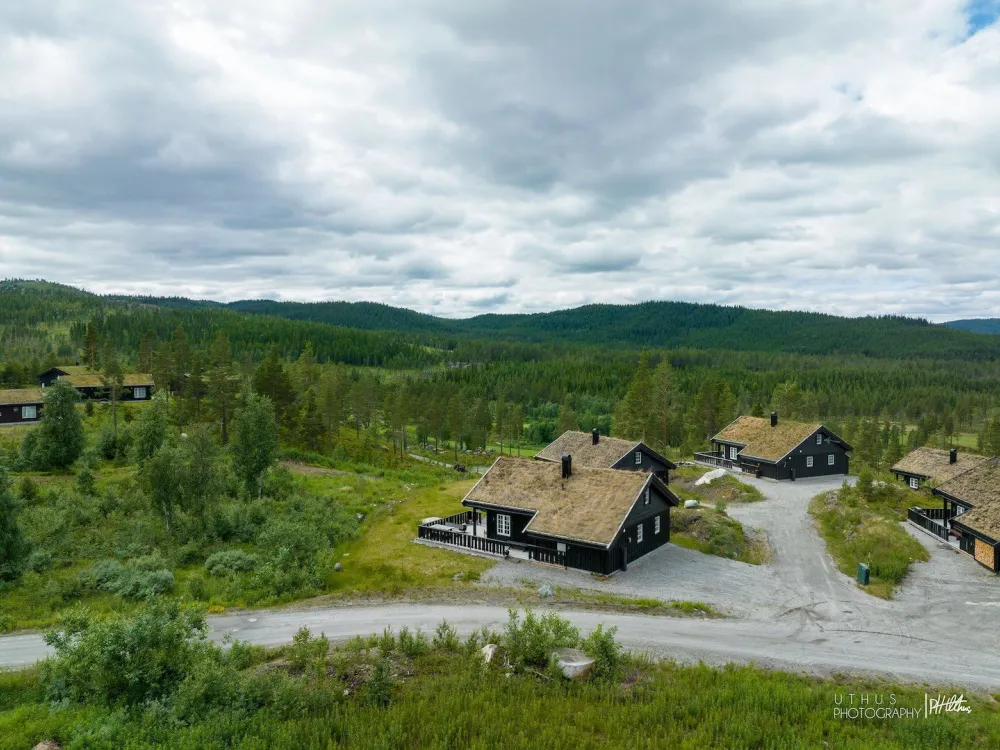 Ludvigsen
