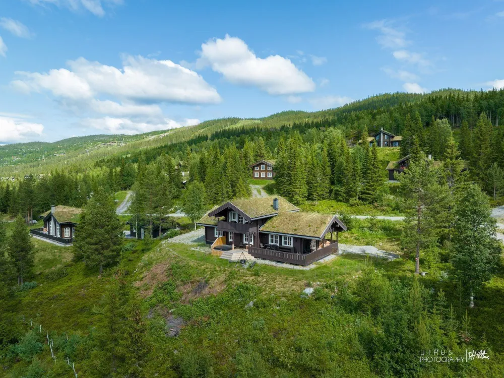 Fjellbris