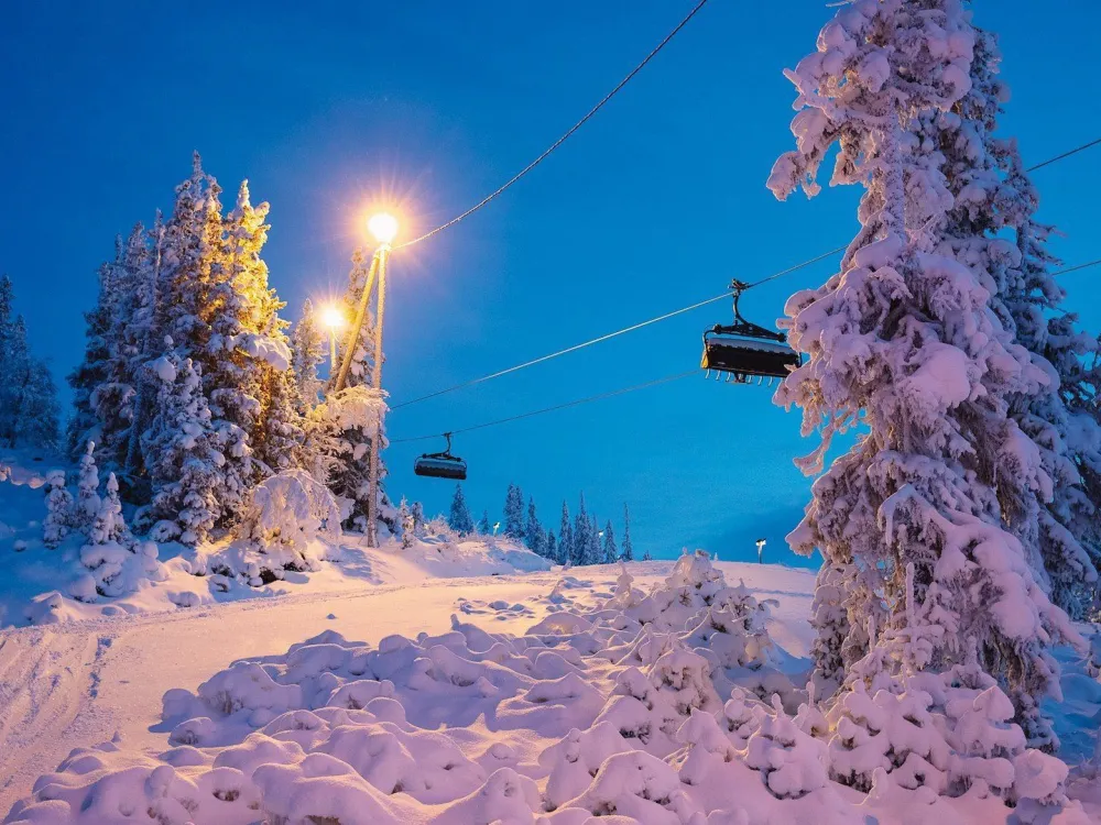 Fjellreven
