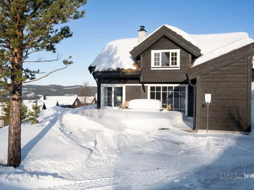 Fjellhvil