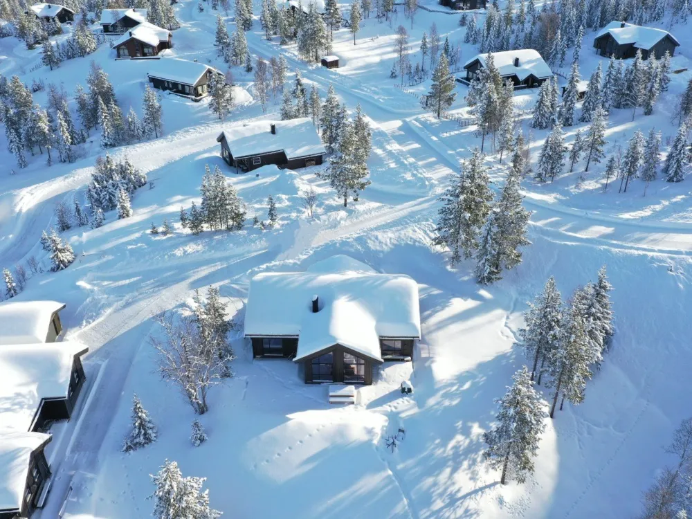 Fjellreven