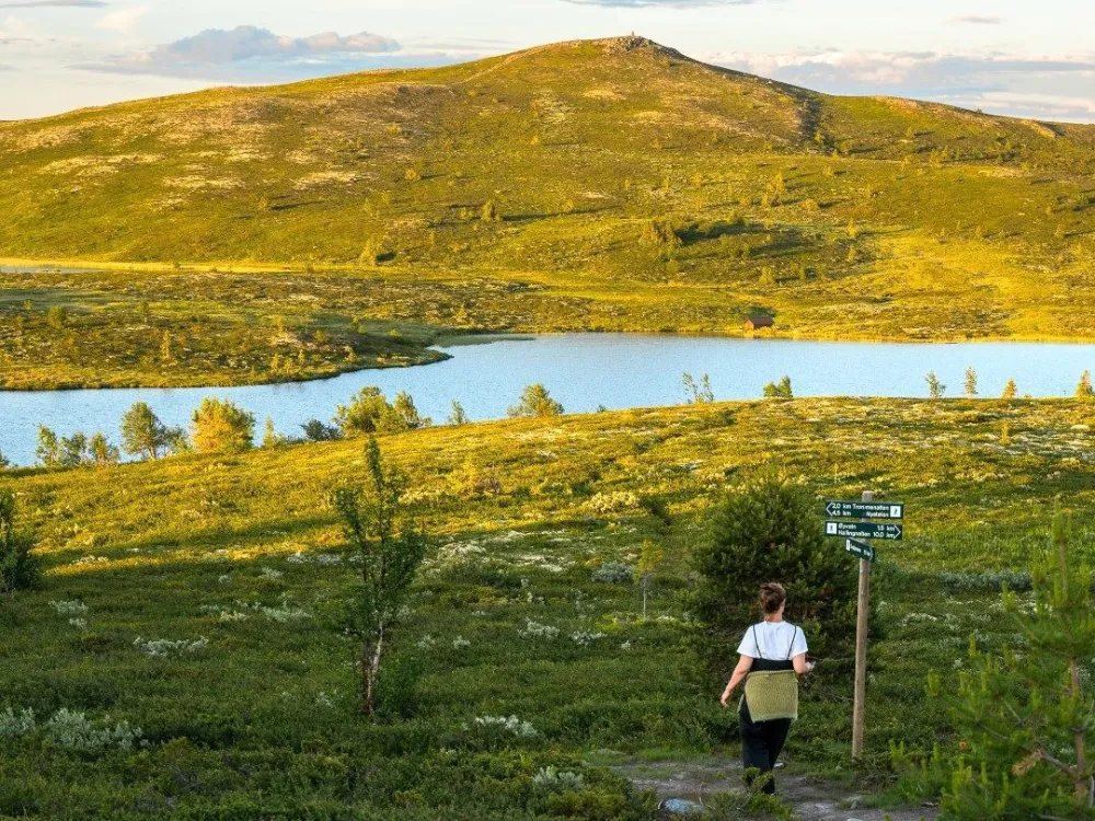 Bålpanna 